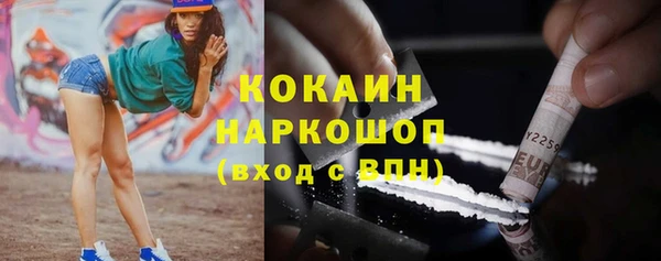 соль ск Алзамай