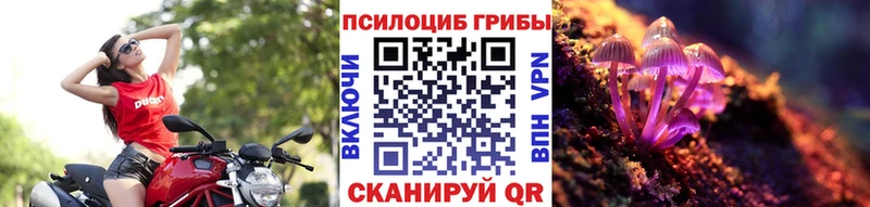 MEGA ссылка  Усинск  Псилоцибиновые грибы мицелий 